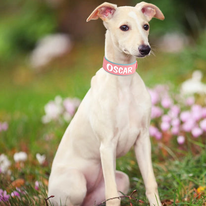 Wide Personalized Dog Collar PU Leather Customized Dogs Tag Collars Soft Pet Collar for Small Medium Large Dogs Pitbull Buldog