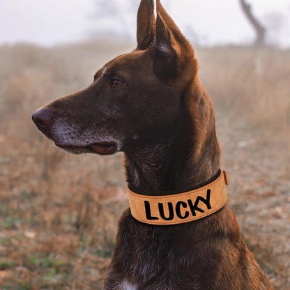 Wide Personalized Dog Collar PU Leather Customized Dogs Tag Collars Soft Pet Collar for Small Medium Large Dogs Pitbull Buldog